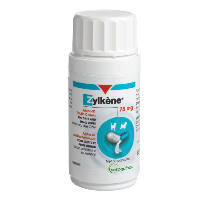 Zylkene best sale for cats